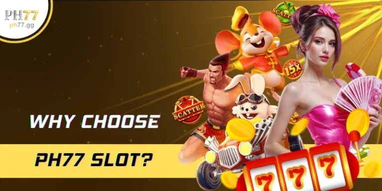 CMD68 Hướng Dẫn Người Dùng Mới